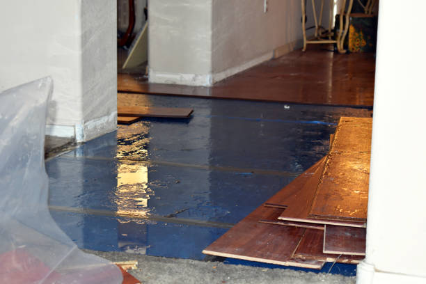 Professional Sewage Cleanup technician working in Hewlett, NY